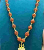 Shiv Trishul Penfant with Rudraksha Chain
