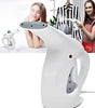 Fast Heat-up Portable Handheld Garment/Facial Vapor Steamer Iron Brush for Home and Travel Handy (Multicolour)