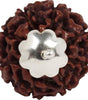 7 Mukhi Rudraksha Silver Capped Pendant