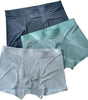 Men's Ice Silk Briefs Boxers (Pack of 5)