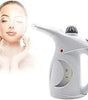 Fast Heat-up Portable Handheld Garment/Facial Vapor Steamer Iron Brush for Home and Travel Handy (Multicolour)
